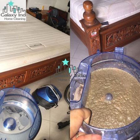 jasa sedot tungau